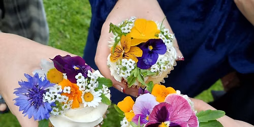 Blooms And Buttercream Cupcake Edition