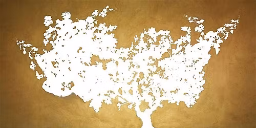 Continuum Estates Wine Dinner