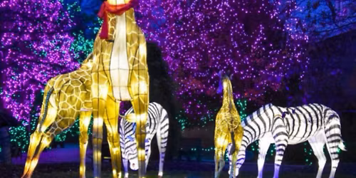 Tail Tavern\u2019s Littles and Bigs Holiday Gathering at the Cincinnati Zoo Festival of Lights