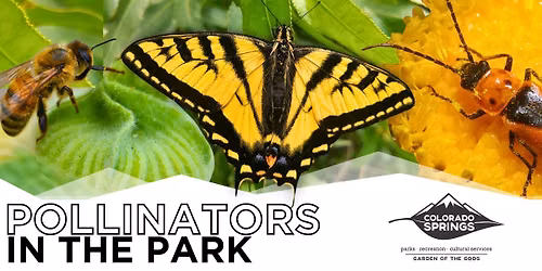 Pollinators in the Park