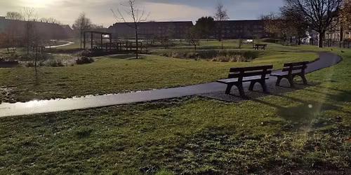 Take Pride in Your Park