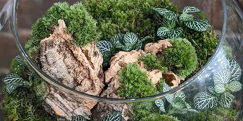 Couples Terrarium Workshop by Glasgow PlantMama
