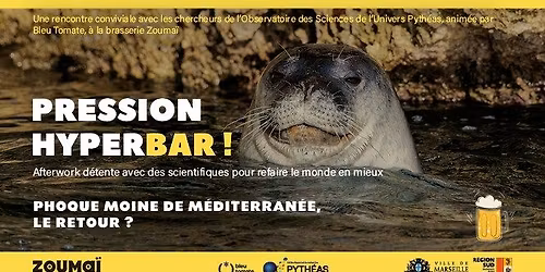 PRESSION HYPERBAR ! Phoque moine de M\u00e9diterran\u00e9e, le retour ?