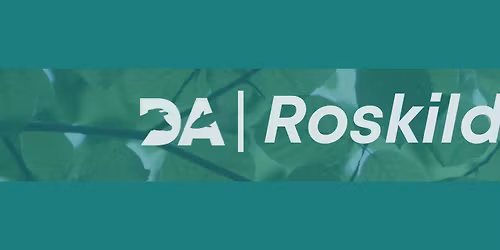 [Roskilde] Volunteer Social Hour