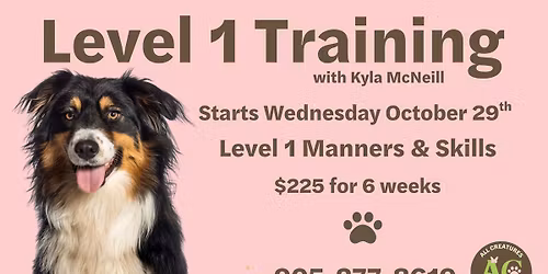Level 1 Manners & Skills with Kyla