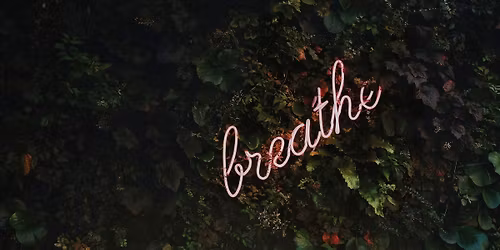 Psychedelic Breathwork Journey: Unlock Your Inner Medicine