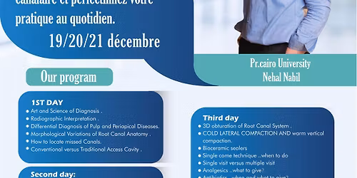 \ud83c\udf93 Endo Queen \u00e0 Tunis : Ma\u00eetrisez l\u2019art du traitement canalaire