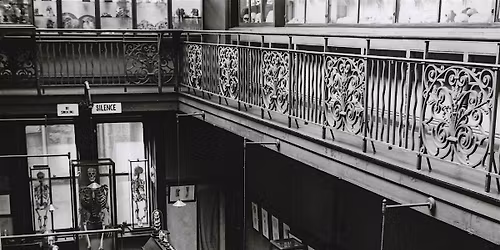 Silent Teachers to All: Opening the Doors of a Medical Museum (TCD)