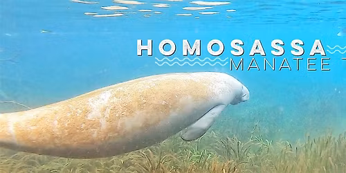 Homosassa Manatee Paddle Tour