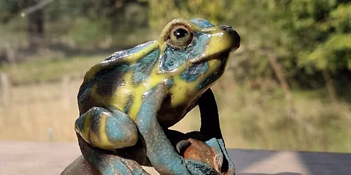 Clay Frog Workshop, at RSPB Frampton