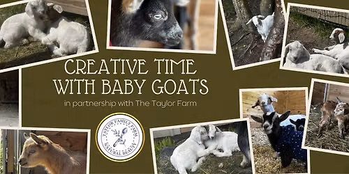 \ud83c\udfa8 Create Alongside Goats from The Taylor Farm \ud83d\udc10