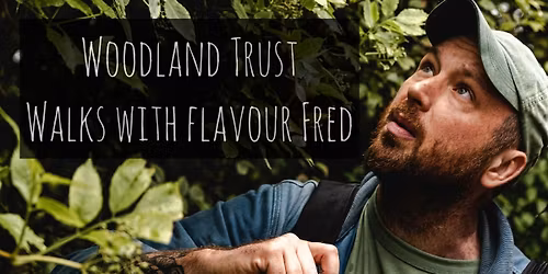 Wild Plants & Mushroom Identification , History, Folklore & Wild Flavours