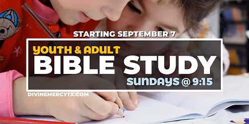 Bible Study - Adult & Youth