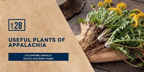 Useful Plants of Appalachia Hike