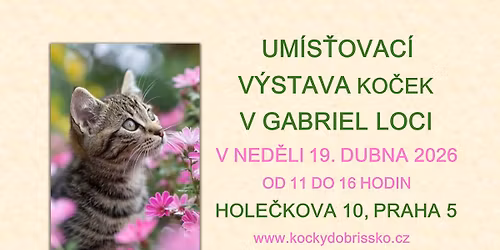 UM\u00cdS\u0164OVAC\u00cd V\u00ddSTAVA KO\u010cEK