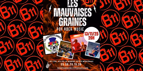 \ud83c\udfb8\ud83c\udfb6\ud83c\udfa4 LES MAUVAISES GRAINES \ud83c\udfa4\ud83c\udfb6\ud83c\udfb8