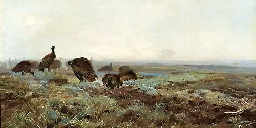 Bestiariusz Che\u0142mo\u0144skiego (vol3) - zacietrzewi\u0142 Zach\u0119t\u0119 i sprowadzi\u0142 sztuk\u0119 na manowce (vol3)