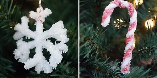 🔬🎄 Combine Science & Christmas: Make Your Own Crystal Christmas Ornament! 🎄🔬