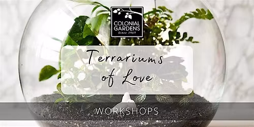 Terrariums of Love at Colonial Gardens