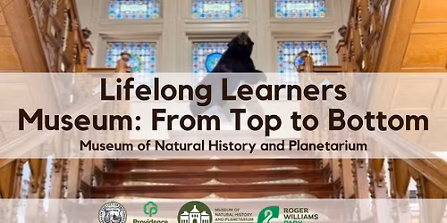 Lifelong Learners Museum: From Top to Bottom