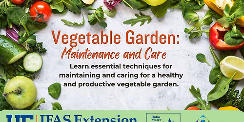 Vegetable Garden:  Maintenance & Care
