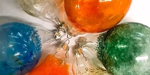 Blown Glass Bulb Class