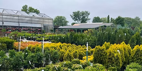Party in the Gardens