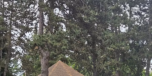 VCCB Jazz in the Park