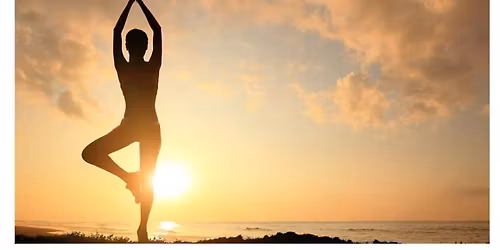 Align and Flow Yoga with Amy Bourque