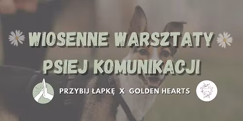 Wiosenne warsztaty psiej komunikacji | Bydgoszcz