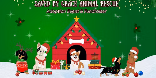 Saved By Grace @ The Bossier Holiday Night Market