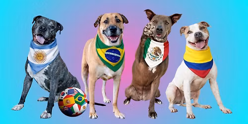 The World Pup