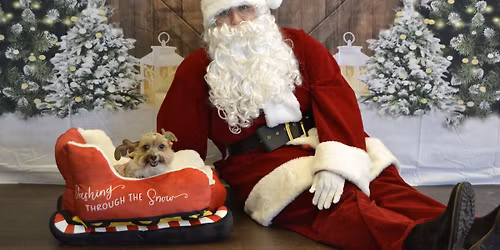 Paws and Claus photos