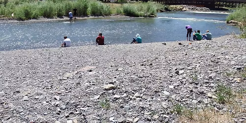 Rollans Park Clean Up
