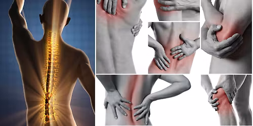 WELLBEING CORNER WORKOST: scopri L'Osteopatia e i suoi benefici