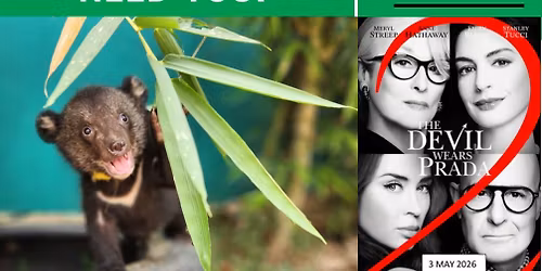 Book Now: The Devil Wears Prada 2,\r\nMovie Fundraiser