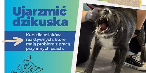 Ujarzmi\u0107 dzikuska - kurs dla psiak\u00f3w reaktywnych, kt\u00f3re maj\u0105 problem z obecno\u015bci\u0105 innych ps\u00f3w 