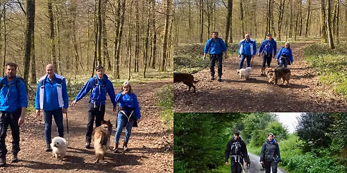 Dagwandeling 8 maart 2026