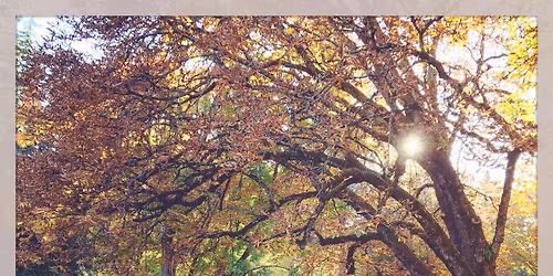 Guided Historical Tour