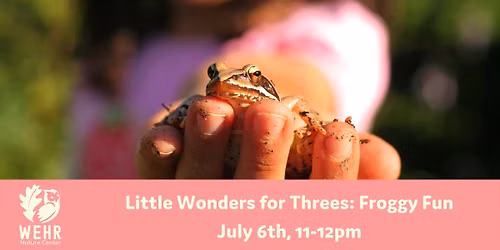 Little Wonders for Threes: Froggy Fun