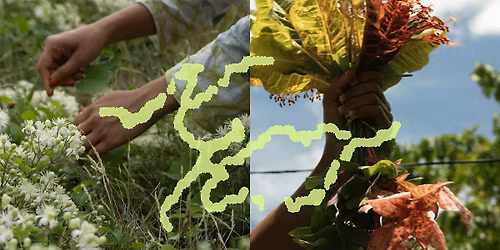 Opening Celebration - Nature KwenTour: exploring island-urban dialogues
