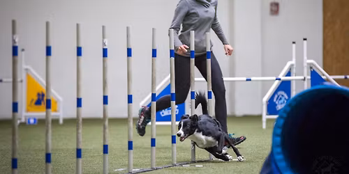 Treningi z Monik\u0105 Rylsk\u0105 przed kwali 10-12 czerwca 2026