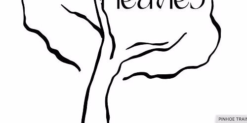 Freemoovement fitness session - Heavitree.