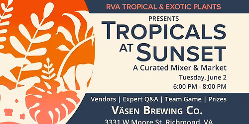 Tropicals At Sunset: A Curated Mixer & Market