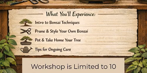 Bonsai Workshop