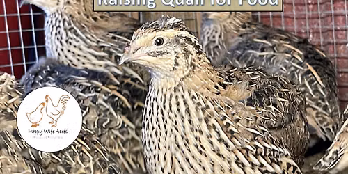 Raising Quail for Food Class