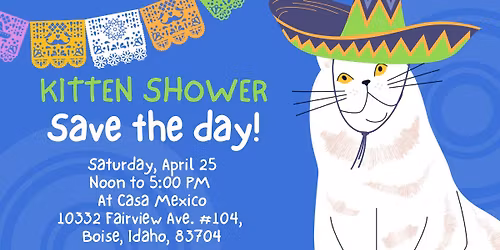 Spring Kitten Shower