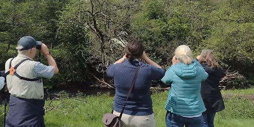 Birdwatching \u2013 Understanding Summer Birds with Nature Stuff - Wednesdays