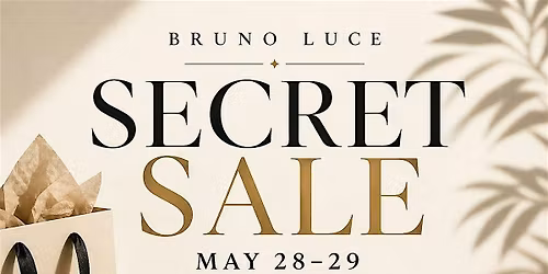 The Secret Sale by Bruno Luce