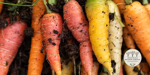 Kitchen Gardening Workshop